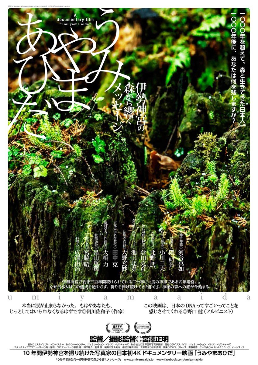 🏛️ 식년천궁 기념 천궁관(센구칸) 이미지 5